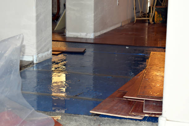 Professional Water Damage Restoration technician working in Gregory, TX